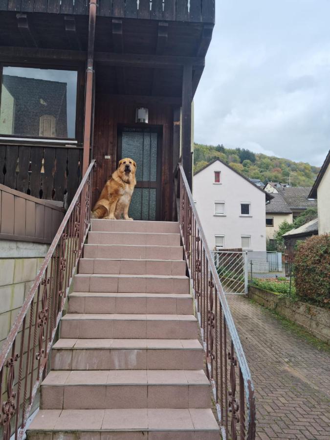 Main Zu Hause Villa Eichenbuhl  Exterior foto